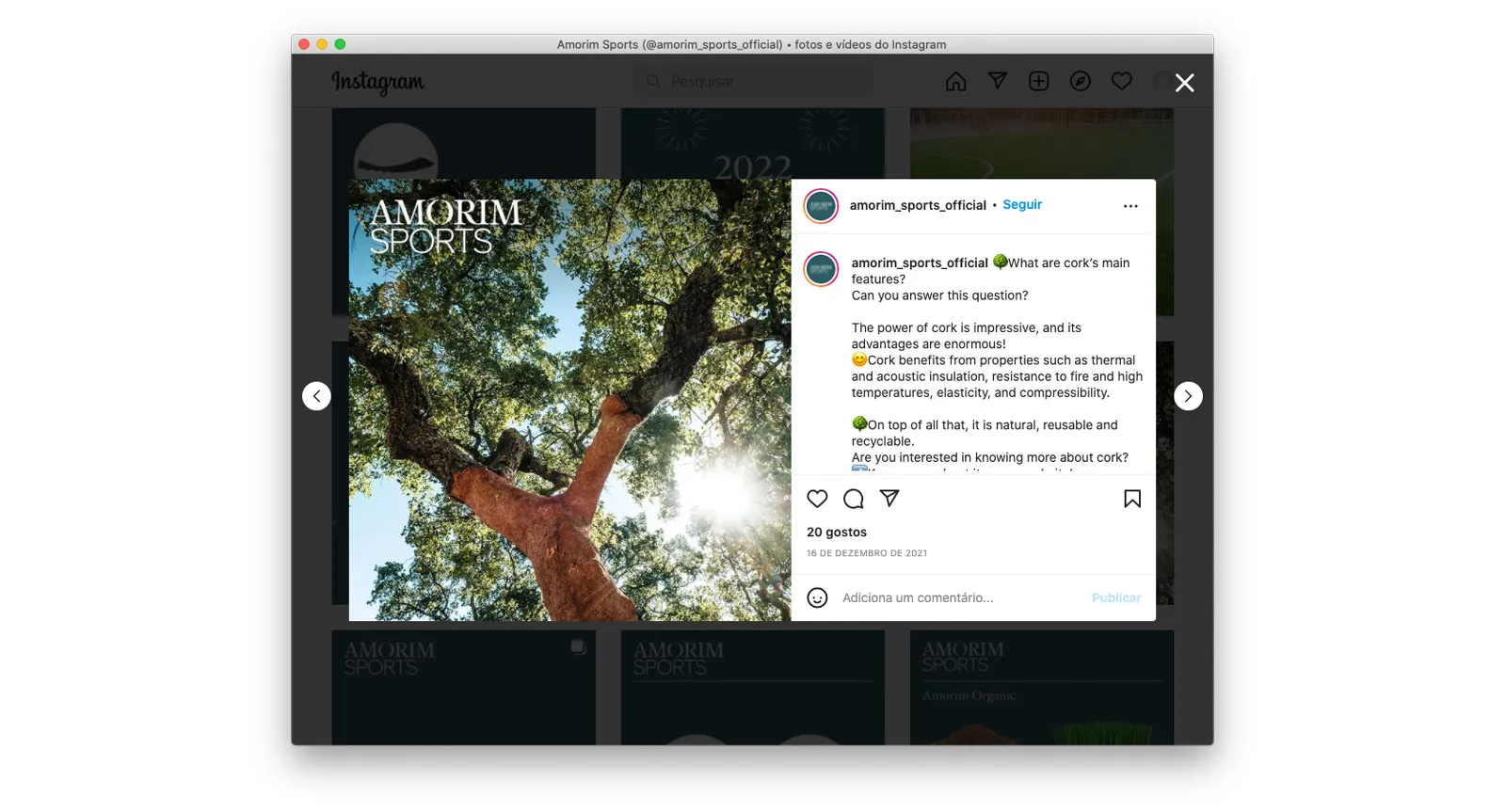 Amorim Sports - Gestão de Redes Sociais